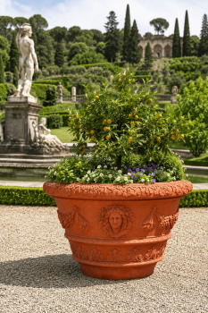 Preview: Terracotta Vase Estate aus Impruneta für Oliven- & Zitrusbäume